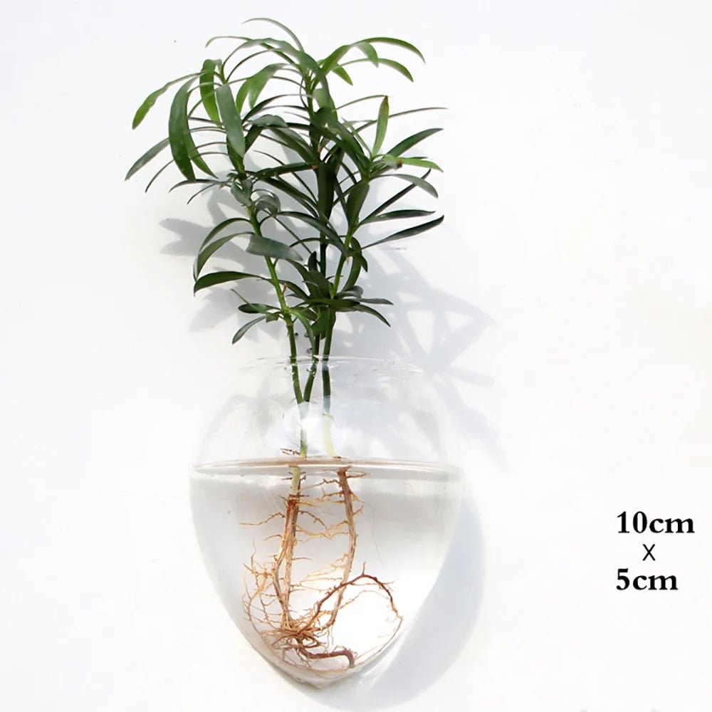 Accroche Plante Murale - Mon Porte Plante