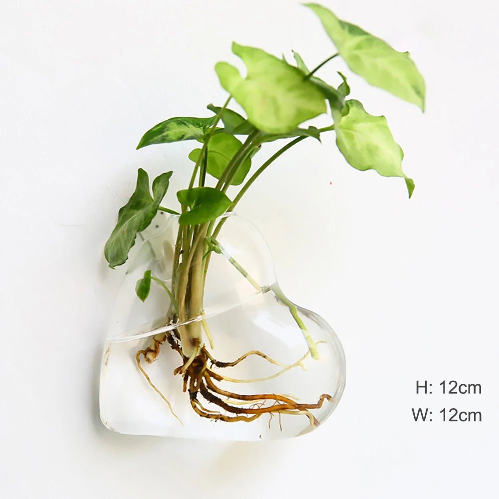 Accroche Plante Murale - Mon Porte Plante