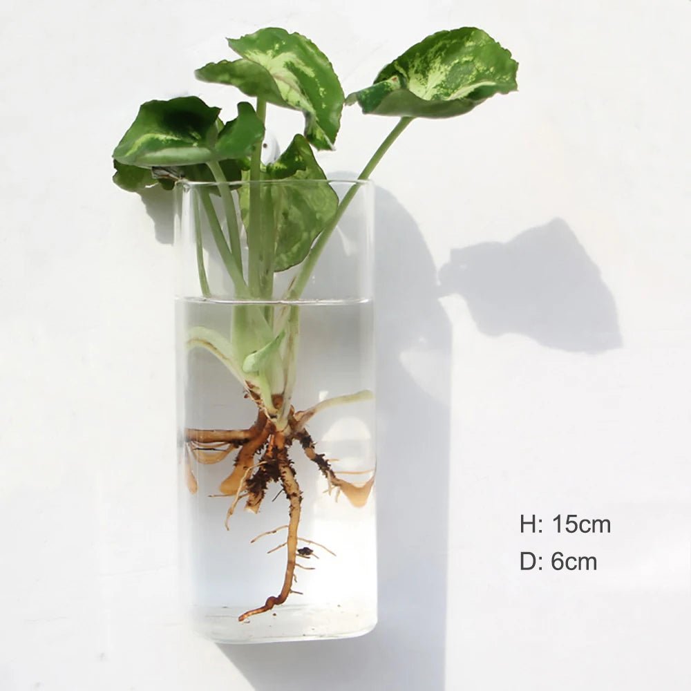 Accroche Plante Murale - Mon Porte Plante