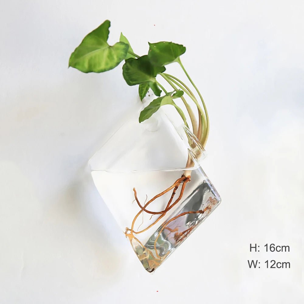 Accroche Plante Murale - Mon Porte Plante