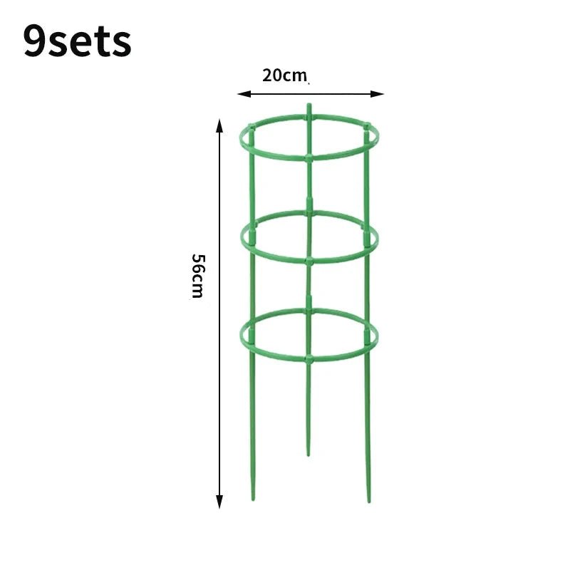 Support Pour Plante Grimpante - Mon Porte Plante