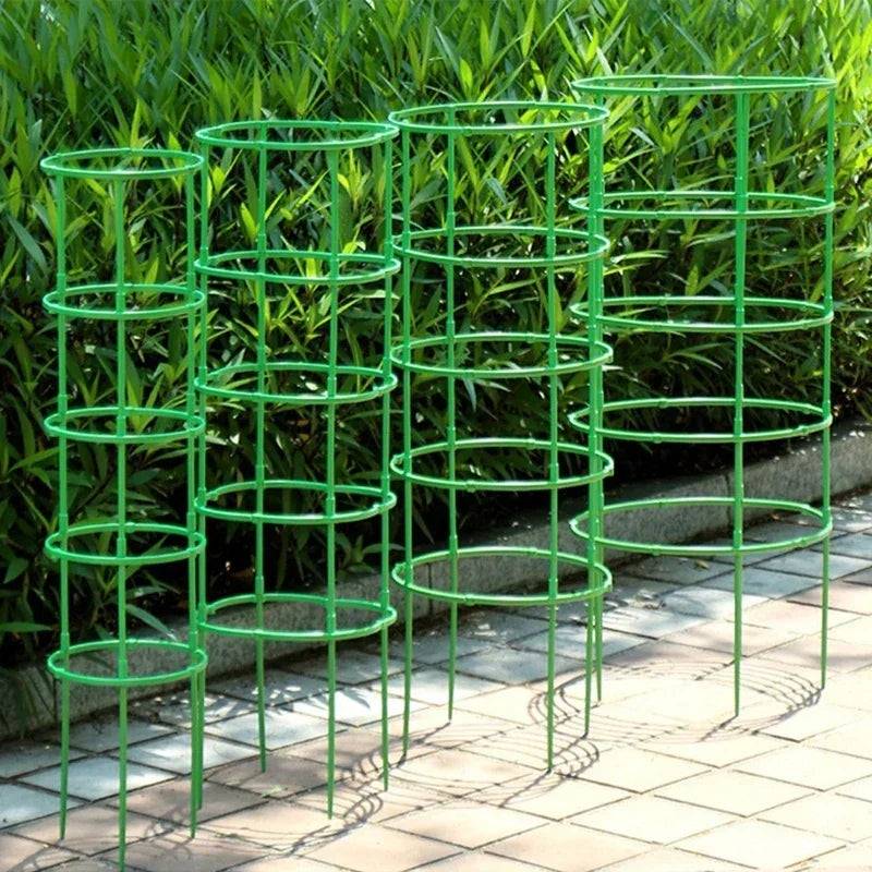 Support Pour Plante Grimpante - Mon Porte Plante