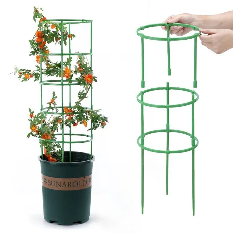 Support Pour Plante Grimpante - Mon Porte Plante