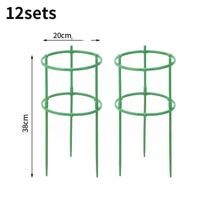 Support Pour Plante Grimpante - Mon Porte Plante