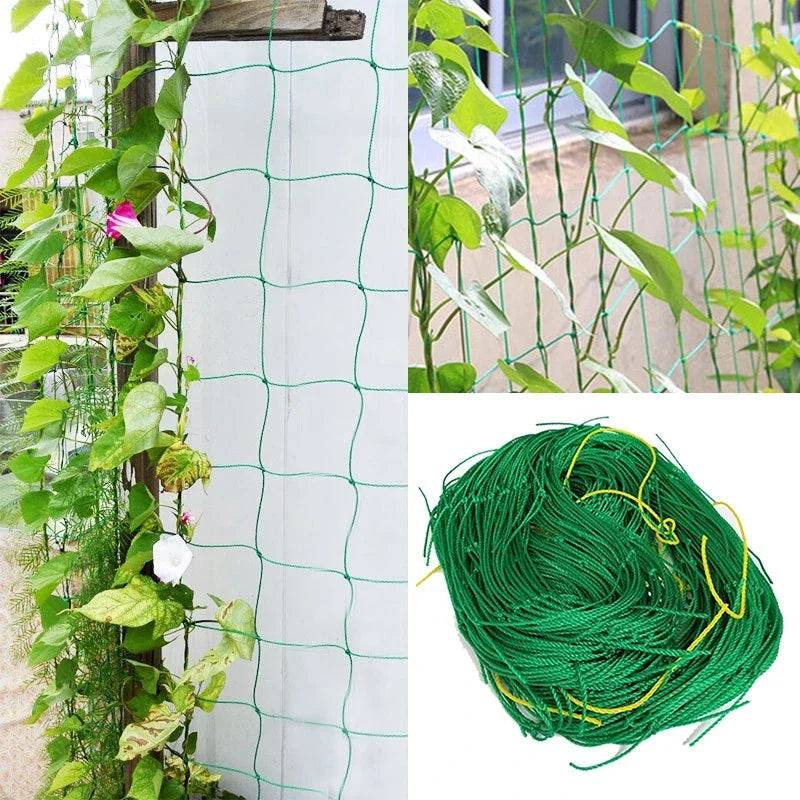 Treillis Plante Grimpante - Mon Porte Plante