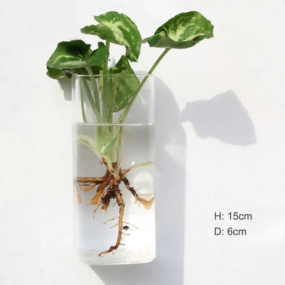 Accroche Plante Murale - Mon Porte Plante