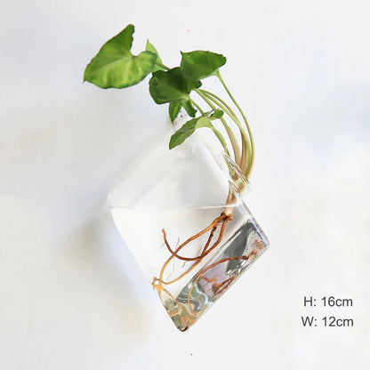 Accroche Plante Murale - Mon Porte Plante