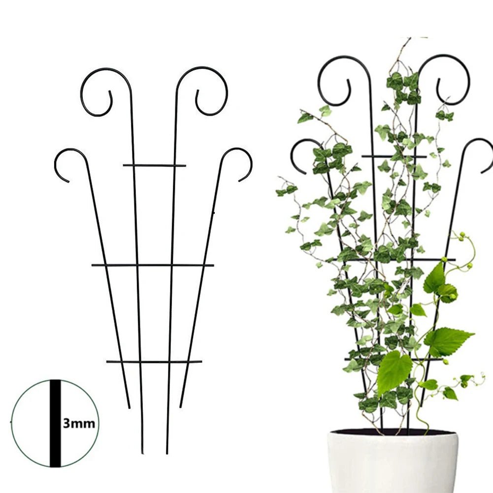 Échelle Plante Grimpante - Mon Porte Plante