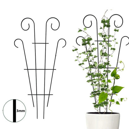 Échelle Plante Grimpante - Mon Porte Plante