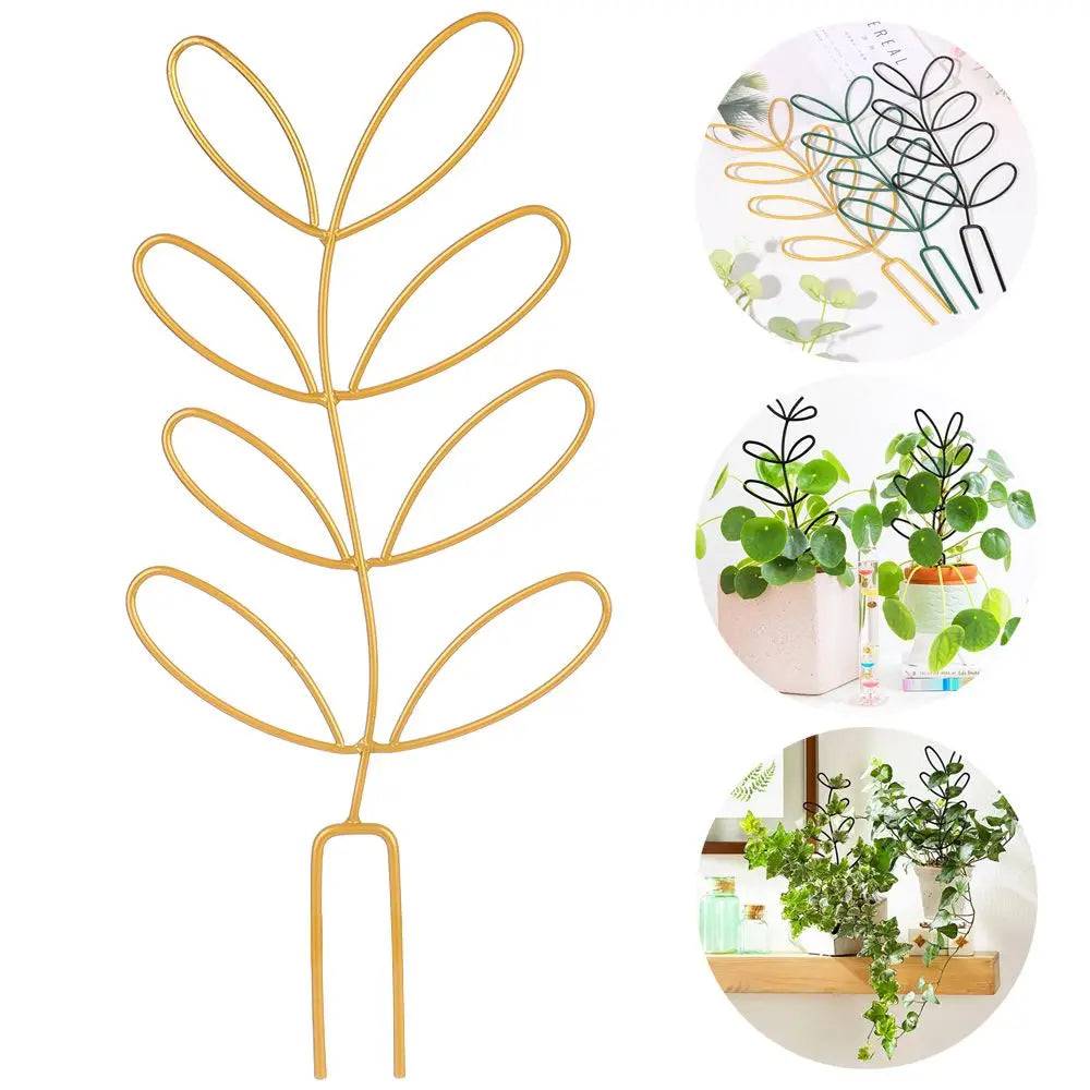 Echelle Support Plante - Mon Porte Plante