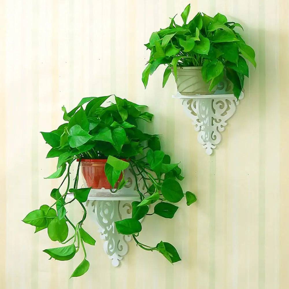 Etagere Murale Plante - Mon Porte Plante