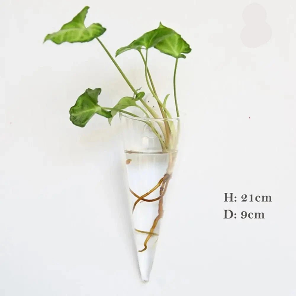 Porte Plante En Verre - Mon Porte Plante