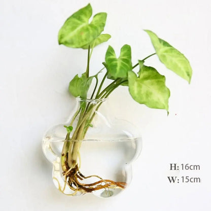 Porte Plante En Verre - Mon Porte Plante