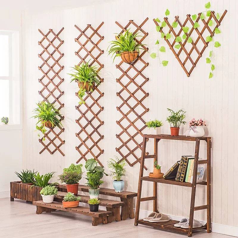 Support Mural Plante Grimpante - Mon Porte Plante