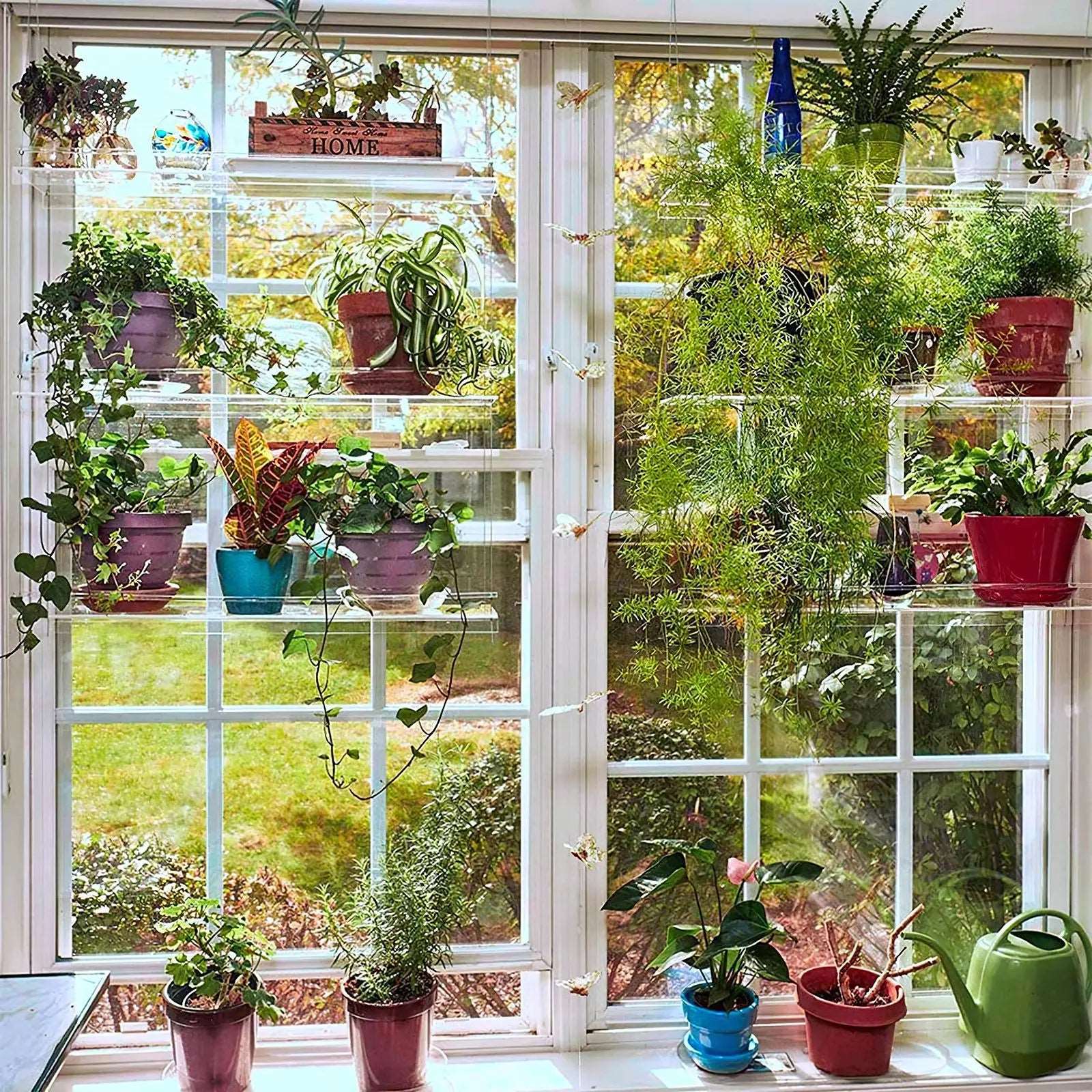 Support Plante Fenetre - Mon Porte Plante