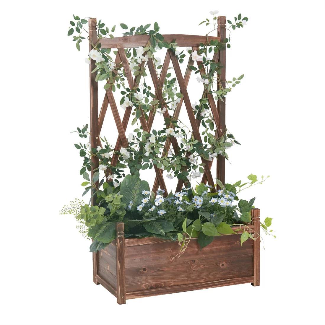 Support Plante Grimpante - Mon Porte Plante