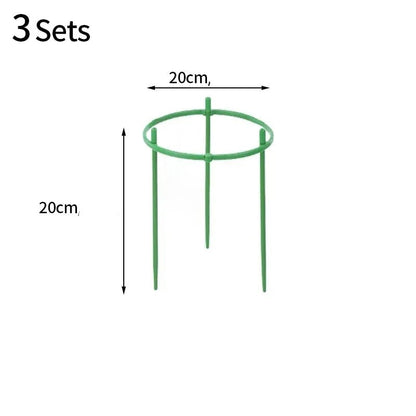 Support Pour Plante Grimpante - Mon Porte Plante
