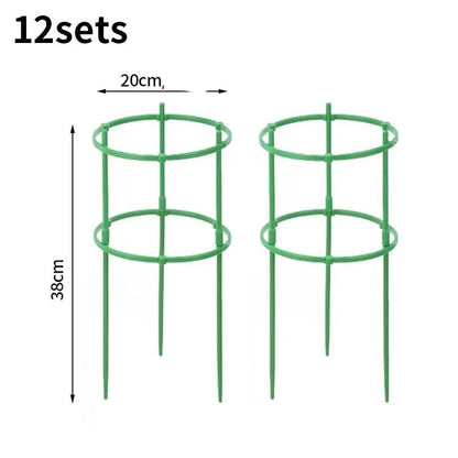 Support Pour Plante Grimpante - Mon Porte Plante