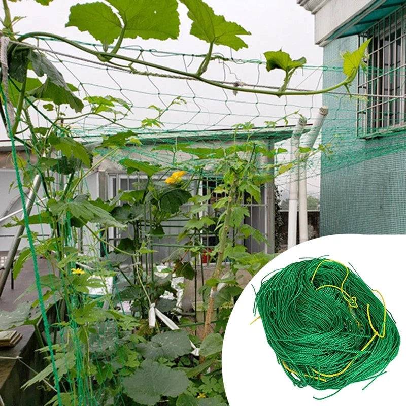 Treillis Plante Grimpante - Mon Porte Plante